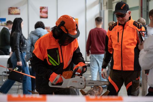 Diákjaink a Szakma Sztár Fesztiválon versenyeznek