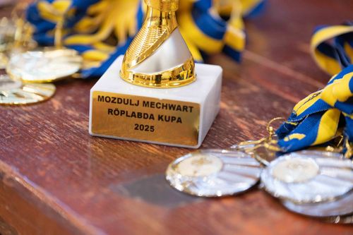 Újra Mozdulj, Debrecen! a Mechwartban