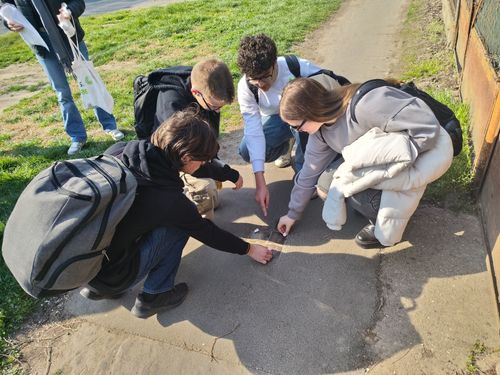 Megtisztítottuk a botlatóköveket