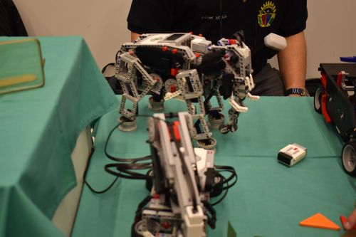 dsc_0203_optimized.jpg
